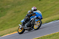PJ-Motorsport-2019;anglesey-no-limits-trackday;anglesey-photographs;anglesey-trackday-photographs;enduro-digital-images;event-digital-images;eventdigitalimages;no-limits-trackdays;peter-wileman-photography;racing-digital-images;trac-mon;trackday-digital-images;trackday-photos;ty-croes